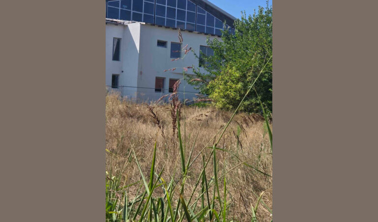 hala-naslovna