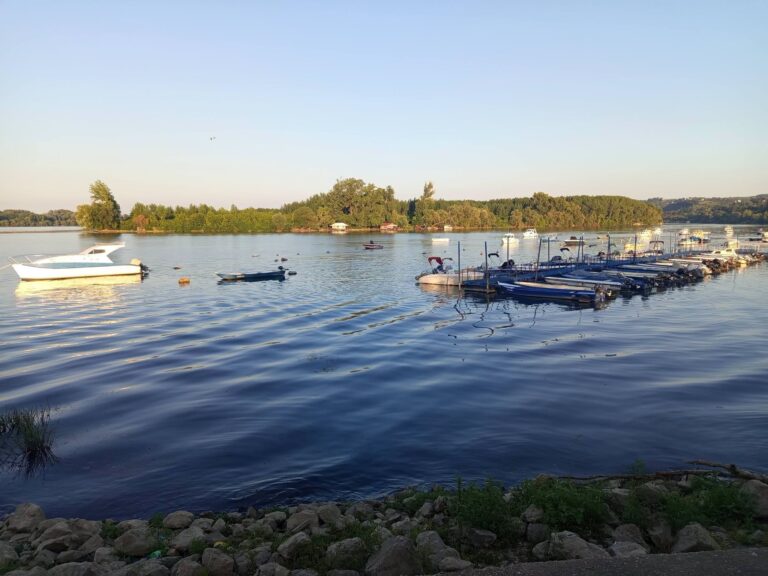 dunavgrocka